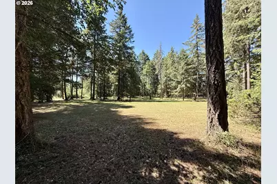 89989 Goldie Ln, Elmira, OR 97437 - Photo 12