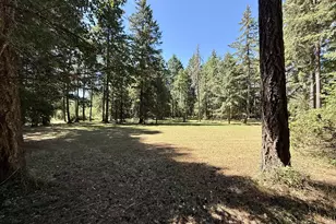 89989 Goldie Ln, Elmira, OR 97437 - Photo 12
