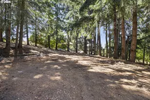 9500 SE Starr Quarry Rd, Amity, OR 97101 - Photo 40