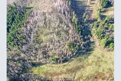 0 SE Michaels, Estacada, OR 97023 - Photo 6