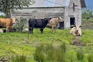 46870 Lyons Mill City Dr, Lyons, OR 97358 - Photo 34