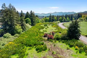 46870 Lyons Mill City Dr, Lyons, OR 97358 - Photo 46