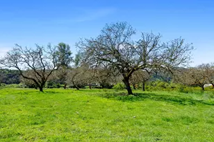 46870 Lyons Mill City Dr, Lyons, OR 97358 - Photo 30