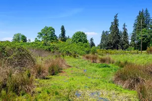 46870 Lyons Mill City Dr, Lyons, OR 97358 - Photo 38