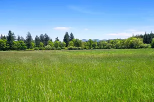 46870 Lyons Mill City Dr, Lyons, OR 97358 - Photo 36