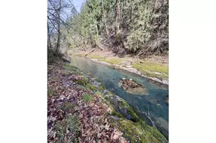 77189 Mosby Creek Rd, Cottage Grove, OR 97424 - Photo 36