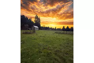 77189 Mosby Creek Rd, Cottage Grove, OR 97424 - Photo 6