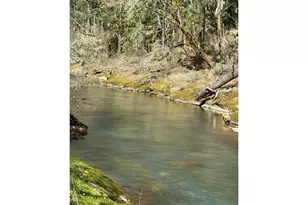 77189 Mosby Creek Rd, Cottage Grove, OR 97424 - Photo 44