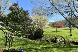 215 Kennaday Ln, Glide, OR 97447 - Photo 44