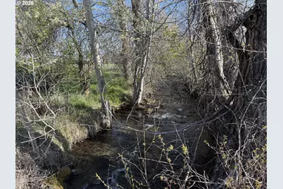 83014 Joseph Hwy, Joseph, OR 97846 - Photo 6