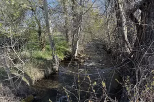 83014 Joseph Hwy, Joseph, OR 97846 - Photo 6