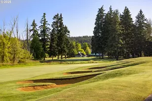 31697 NW Turel Dr, North Plains, OR 97133 - Photo 40