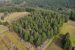 19980 SW Seiffert Rd, Sherwood, OR 97140 - Photo 10