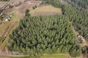 19980 SW Seiffert Rd, Sherwood, OR 97140 - Photo 8