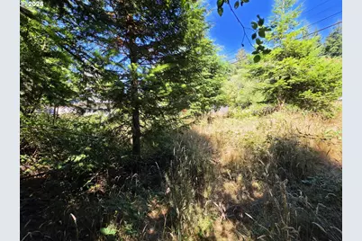 Jackson St, Port Orford, OR 97465 - Photo 8