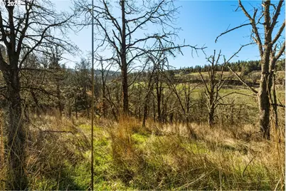 Dry Creek Rd, Mosier, OR 97040 - Photo 12