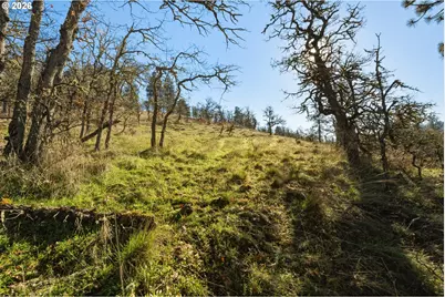Dry Creek Rd, Mosier, OR 97040 - Photo 10