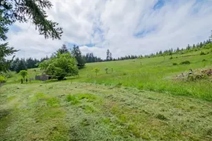 28600 Jones Dr, Foster, OR 97345 - Photo 24