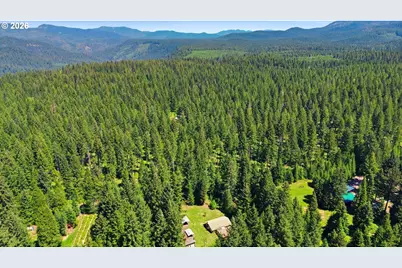 49782 Huckleberry Rd, Oakridge, OR 97463 - Photo 8