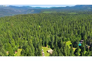 49782 Huckleberry Rd, Oakridge, OR 97463 - Photo 8