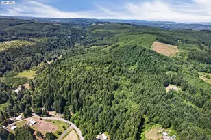 31193 Pittsburg Rd, Saint Helens, OR 97051 - Photo 38