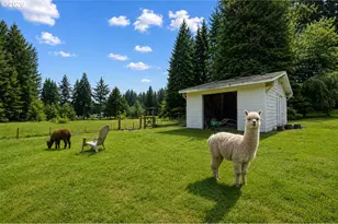 14713 NE 269th St, Battle Ground, WA 98604 - Photo 42