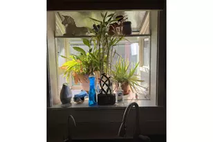 35 NE 157th Ave, Portland, OR 97230 - Photo 14