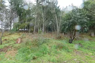 3464 Glenbrook Loop Rd, Riddle, OR 97469 - Photo 4