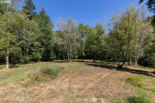 19934 Beaver Falls Rd, Clatskanie, OR 97016 - Photo 20