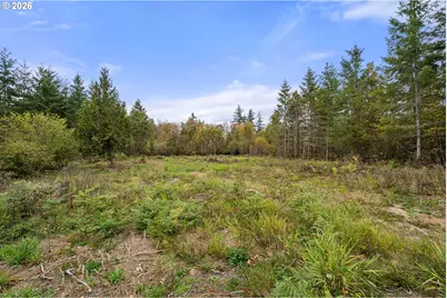 139 N Military Rd, Winlock, WA 98596 - Photo 26