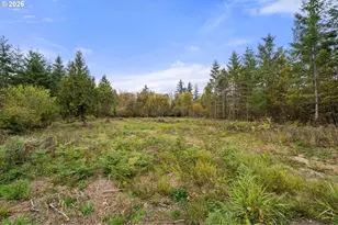 139 N Military Rd, Winlock, WA 98596 - Photo 26