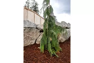 1101 NW 111th Cir, Vancouver, WA 98685 - Photo 30