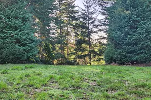 93595 China Mountain Rd, Port Orford, OR 97465 - Photo 10