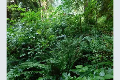 9864 Beach Dr, Birkenfeld, OR 97016 - Photo 22