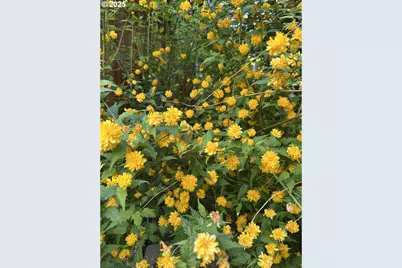 440 N Mountain Blvd, Mount Vernon, OR 97865 - Photo 42