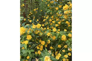 440 N Mountain Blvd, Mount Vernon, OR 97865 - Photo 42