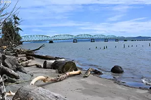 201 24th St NE, Long Beach, WA 98631 - Photo 44