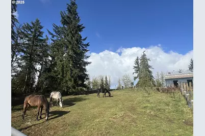 24853 Warren Rd, Rainier, OR 97048 - Photo 6