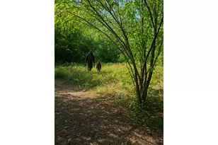 20055 NW Pihl Rd, Banks, OR 97106 - Photo 20