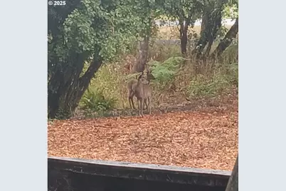 20055 NW Pihl Rd, Banks, OR 97106 - Photo 20