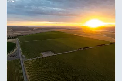 S Finley Rd, Kennewick, WA 99337 - Photo 6