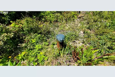 Miller Ln #1100, Gold Beach, OR 97444 - Photo 4