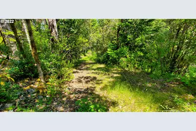 Miller Ln #1100, Gold Beach, OR 97444 - Photo 24