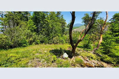 Miller Ln #1100, Gold Beach, OR 97444 - Photo 12