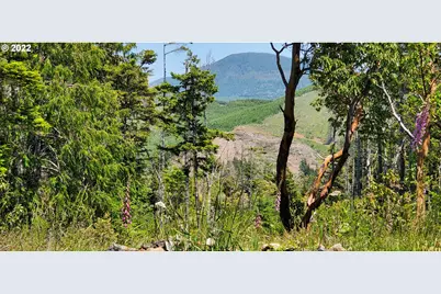 Miller Ln #1100, Gold Beach, OR 97444 - Photo 20