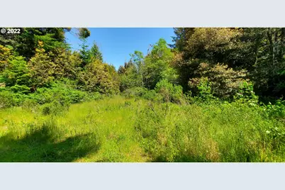 Miller Ln #1100, Gold Beach, OR 97444 - Photo 30