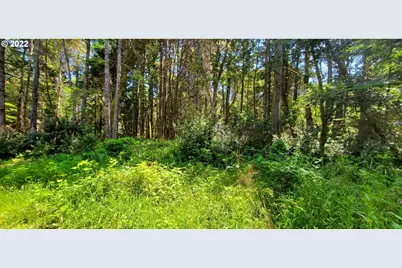 Miller Ln #1100, Gold Beach, OR 97444 - Photo 32
