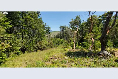 Miller Ln #1100, Gold Beach, OR 97444 - Photo 14