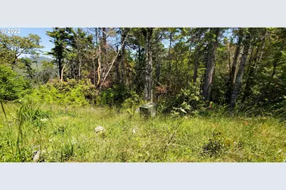 Miller Ln #1100, Gold Beach, OR 97444 - Photo 22