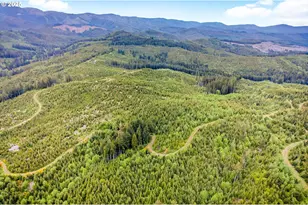 1 Parpala Rd, Naselle, WA 98638 - Photo 1